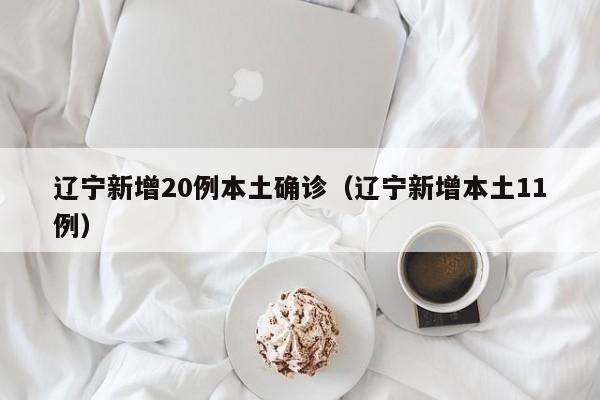 辽宁新增20例本土确诊（辽宁新增本土11例）