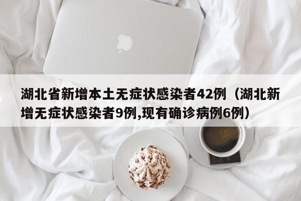 湖北省新增本土无症状感染者42例（湖北新增无症状感染者9例,现有确诊病例6例）