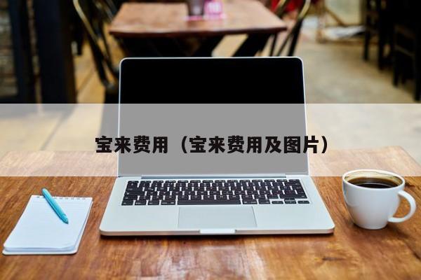 宝来费用（宝来费用及图片）