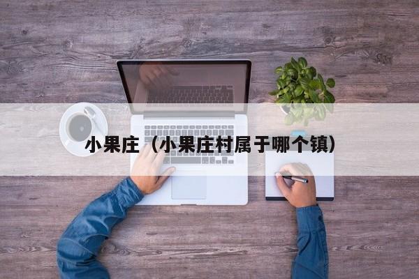 小果庄（小果庄村属于哪个镇）