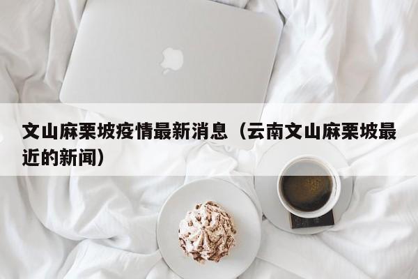 文山麻栗坡疫情最新消息（云南文山麻栗坡最近的新闻）
