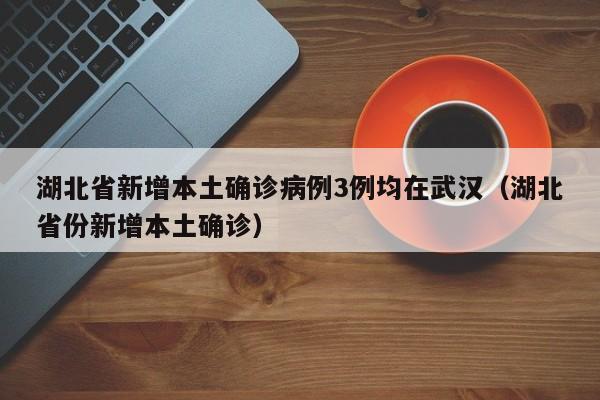 湖北省新增本土确诊病例3例均在武汉（湖北省份新增本土确诊）
