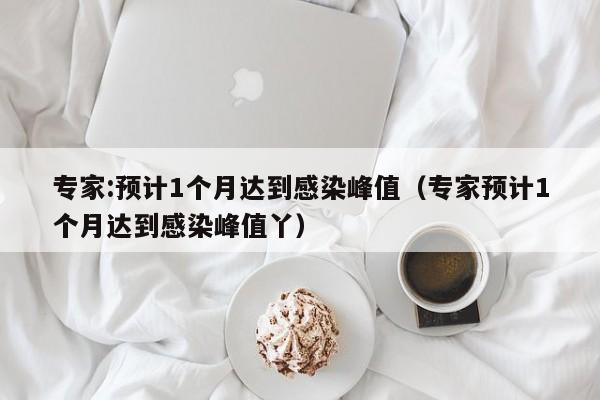 专家:预计1个月达到感染峰值（专家预计1个月达到感染峰值丫）