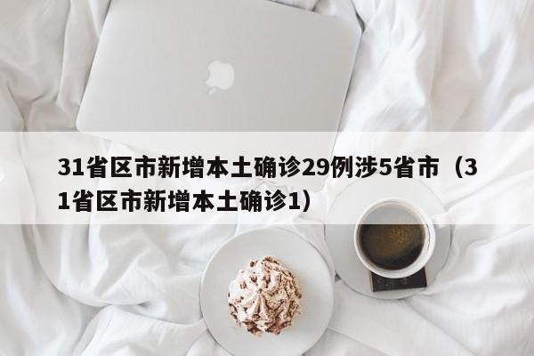 31省区市新增本土确诊29例涉5省市（31省区市新增本土确诊1）