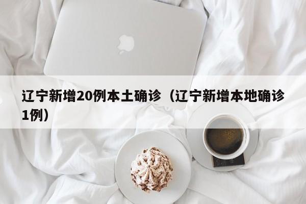 辽宁新增20例本土确诊（辽宁新增本地确诊1例）