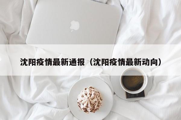沈阳疫情最新通报（沈阳疫情最新动向）