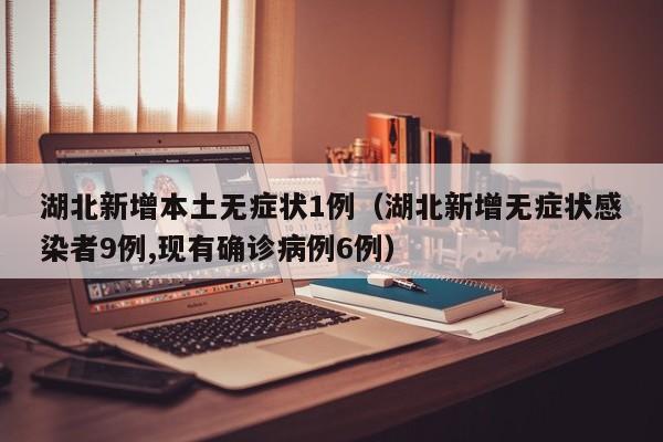 湖北新增本土无症状1例（湖北新增无症状感染者9例,现有确诊病例6例）