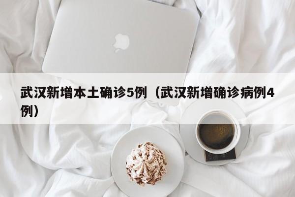 武汉新增本土确诊5例（武汉新增确诊病例4例）