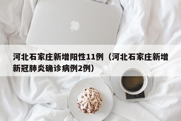 河北石家庄新增阳性11例（河北石家庄新增新冠肺炎确诊病例2例）