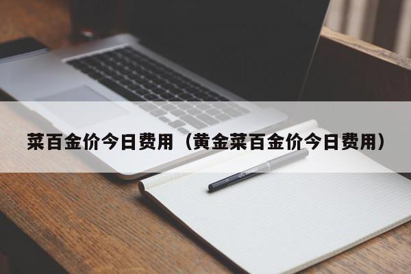 菜百金价今日费用（黄金菜百金价今日费用）