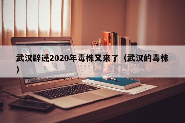 武汉辟谣2020年毒株又来了（武汉的毒株）