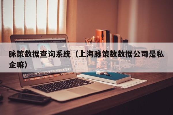 脉策数据查询系统（上海脉策数数据公司是私企嘛）