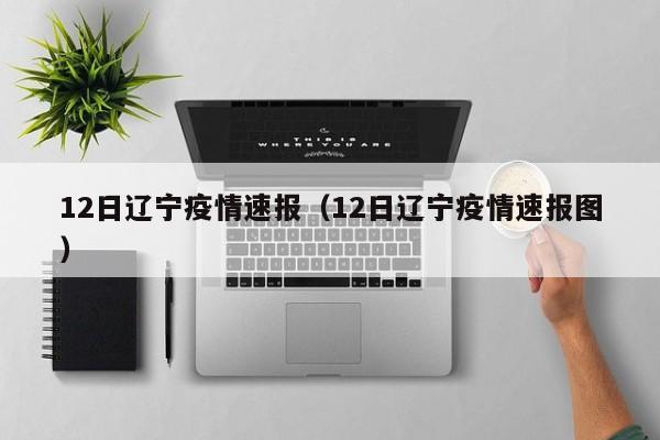 12日辽宁疫情速报（12日辽宁疫情速报图）