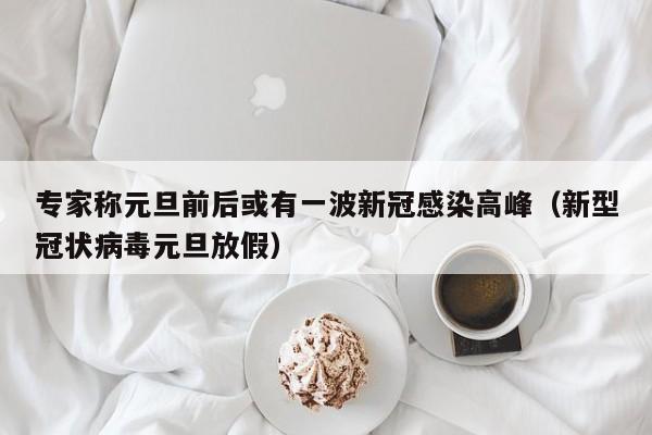 专家称元旦前后或有一波新冠感染高峰（新型冠状病毒元旦放假）